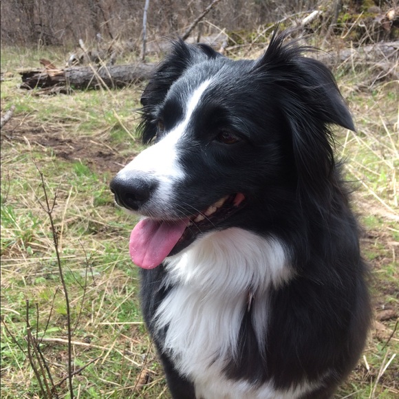 Meet your Posher, Emily - Picture 1 of 1